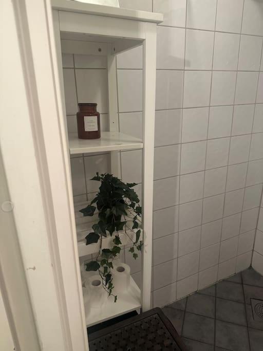 35m2 In Central Oslo